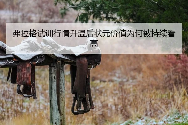 弗拉格试训行情升温后状元价值为何被持续看高