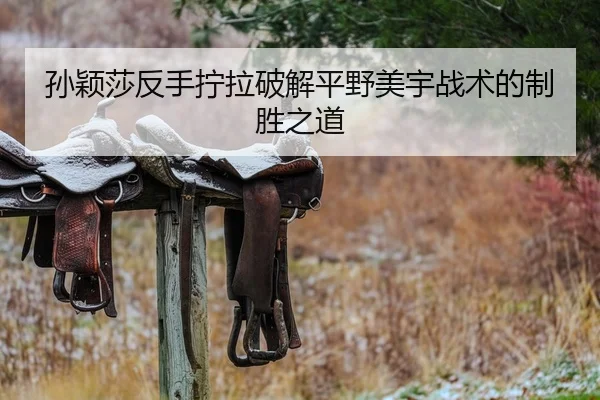 孙颖莎反手拧拉破解平野美宇战术的制胜之道