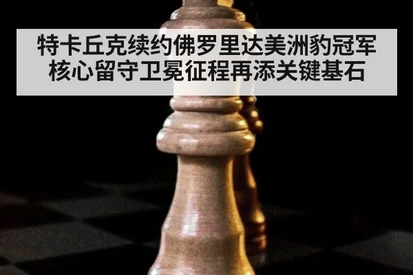 特卡丘克续约佛罗里达美洲豹冠军核心留守卫冕征程再添关键基石