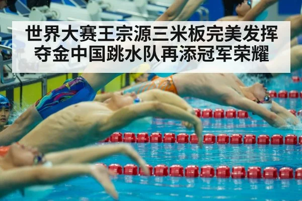 Wang Zongyuan diving